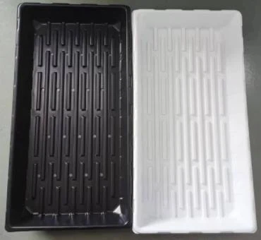 product-370-340